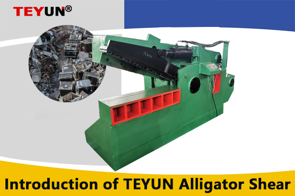 Giới thiệu về TEYUN Alligator Shear